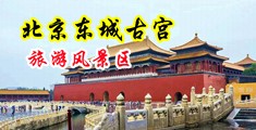 黑屌中出中国北京-东城古宫旅游风景区